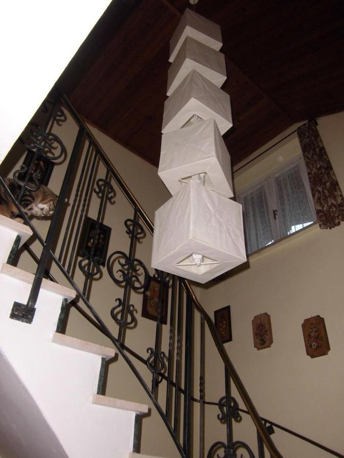 Appartements Haus Schmalzl Viehhofen Esterno foto