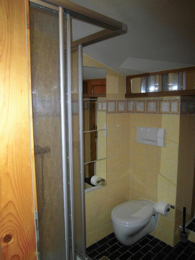 Appartements Haus Schmalzl Viehhofen Esterno foto