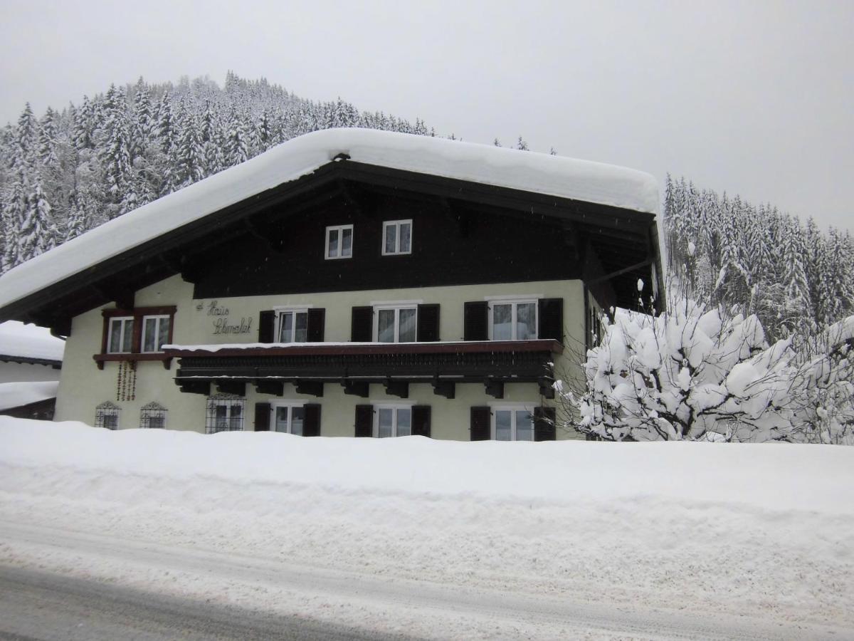 Appartements Haus Schmalzl Viehhofen Esterno foto